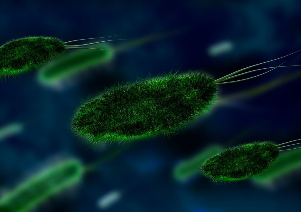 bacteria, virus, organism-106583.jpg