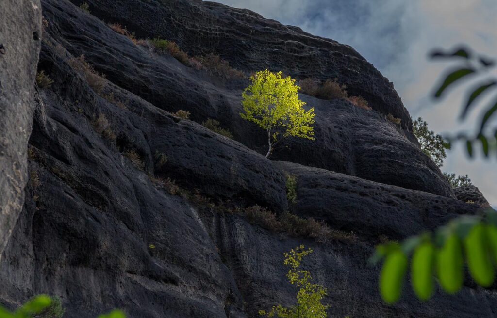 elbe sandstone mountains, mountains, saxony-3728708.jpg